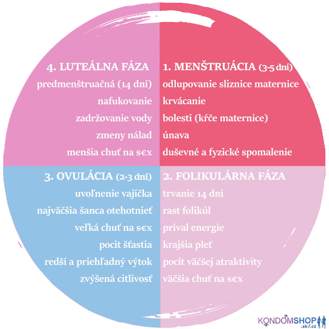 menštruačný cyklus príznaky jednotlivé fázy