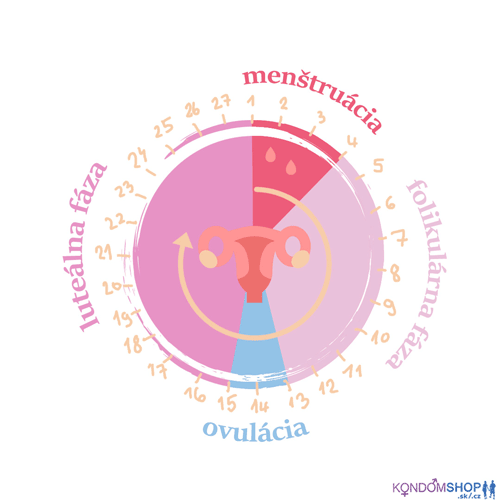 menštruačný cyklus