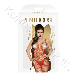 Penthouse Body search sieťované bodystocking red