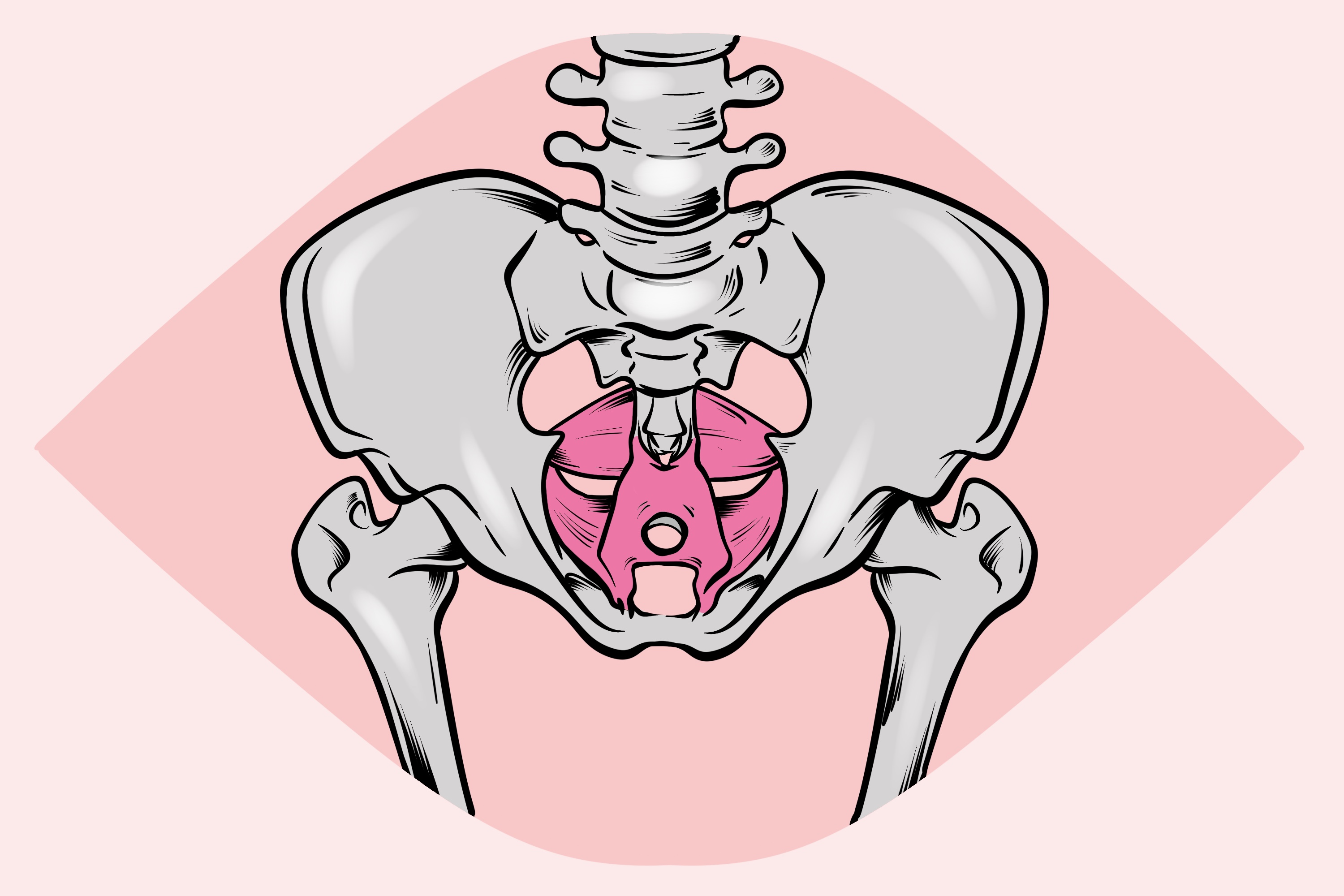 Anatomie pánevního dna